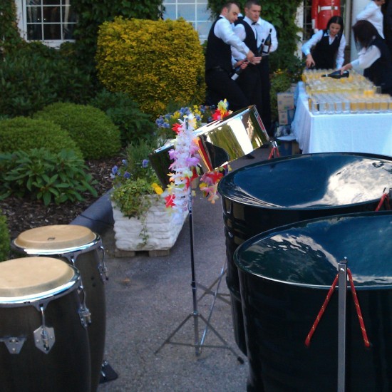 musicians for garden party central London, North London, entertainer for garden party, hire an experienced ensemble which is well presented, 